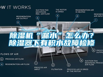 企業(yè)新聞除濕機(jī)“漏水”怎么辦？除濕器下有積水故障檢修