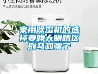 行業(yè)新聞家用除濕機(jī)的選擇要睜大眼睛區(qū)別馬和騾子