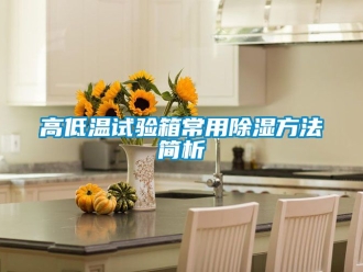 常見(jiàn)問(wèn)題高低溫試驗(yàn)箱常用除濕方法簡(jiǎn)析
