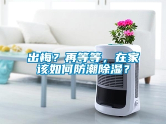 常見(jiàn)問(wèn)題出梅？再等等，在家該如何防潮除濕？
