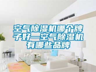 企業(yè)新聞空氣除濕機(jī)哪個(gè)牌子好—空氣除濕機(jī)有哪些品牌