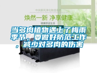 企業(yè)新聞當(dāng)多肉植物遇上了梅雨季節(jié)，要做好防范工作，減少對(duì)多肉的傷害