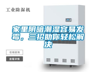 行業(yè)新聞家里陰暗潮濕容易發(fā)霉，三招助你輕松解決