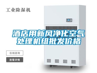 企業(yè)新聞酒店用新風(fēng)凈化空氣處理機(jī)組批發(fā)價(jià)格