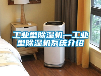 常見問題工業(yè)型除濕機(jī)—工業(yè)型除濕機(jī)系統(tǒng)介紹