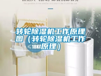 常見問題轉輪除濕機工作原理圖（轉輪除濕機工作原理）
