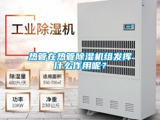 行業(yè)新聞熱管在熱管除濕機組發(fā)揮什么作用呢？