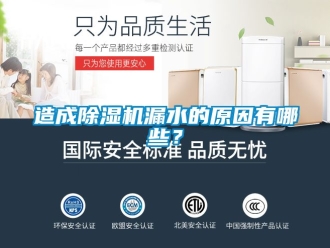 行業(yè)新聞造成除濕機漏水的原因有哪些？
