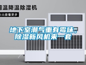 企業(yè)新聞地下室潮氣重有霉味，除濕新風(fēng)機(jī)來(lái)一套