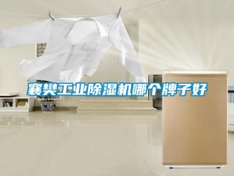 常見問題襄樊工業(yè)除濕機哪個牌子好