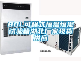 常見問題80L可程式恒溫恒濕試驗(yàn)箱湖北廠家現(xiàn)貨供應(yīng)