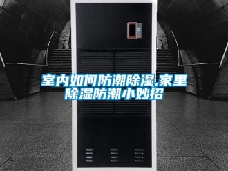 常見(jiàn)問(wèn)題室內(nèi)如何防潮除濕,家里除濕防潮小妙招