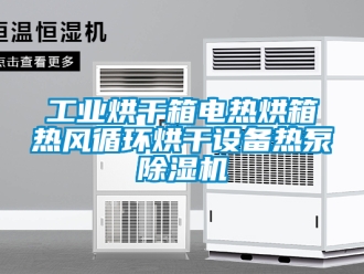 常見(jiàn)問(wèn)題工業(yè)烘干箱電熱烘箱熱風(fēng)循環(huán)烘干設(shè)備熱泵除濕機(jī)
