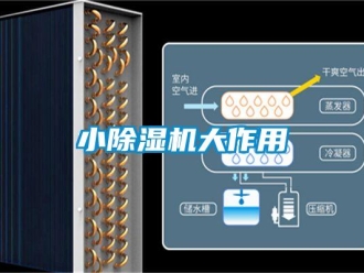 知識百科小除濕機(jī)大作用