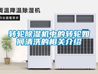 常見(jiàn)問(wèn)題轉(zhuǎn)輪除濕機(jī)中的轉(zhuǎn)輪如何清洗的相關(guān)介紹
