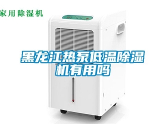 行業(yè)新聞黑龍江熱泵低溫除濕機(jī)有用嗎