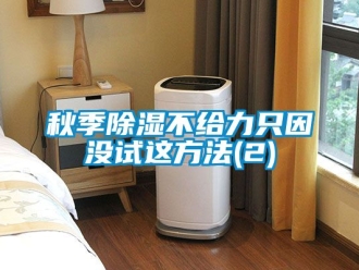 企業(yè)新聞秋季除濕不給力只因沒(méi)試這方法(2)