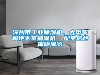 常見問題漳州市工業(yè)除濕機，大型車間地下室抽濕機  配電房倉庫除濕器
