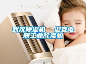 常見問題武漢除濕機(jī)  濕菱電器工業(yè)除濕機(jī)