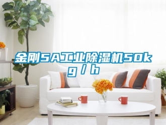 行業(yè)新聞金剛5A工業(yè)除濕機(jī)50kg／h