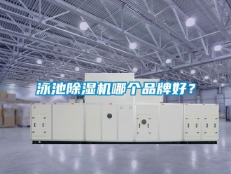 企業(yè)新聞泳池除濕機(jī)哪個品牌好？
