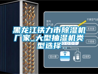 企業(yè)新聞黑龍江鐵力市除濕機(jī)廠家_大型抽濕機(jī)類型選擇