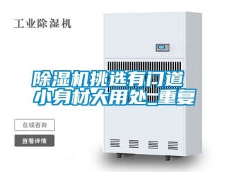 行業(yè)新聞除濕機挑選有門道 小身材大用處_重復