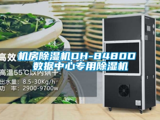行業(yè)新聞機房除濕機DH-8480D 數(shù)據(jù)中心專用除濕機