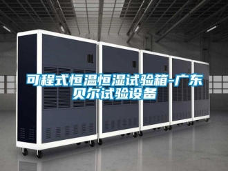 知識百科可程式恒溫恒濕試驗(yàn)箱-廣東貝爾試驗(yàn)設(shè)備