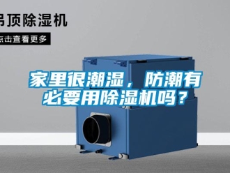 行業(yè)新聞家里很潮濕，防潮有必要用除濕機(jī)嗎？