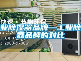 行業(yè)新聞工業(yè)除濕器品牌—工業(yè)除濕器品牌的對比