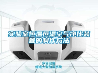 知識(shí)百科實(shí)驗(yàn)室恒溫恒濕空氣凈化裝置的制作方法