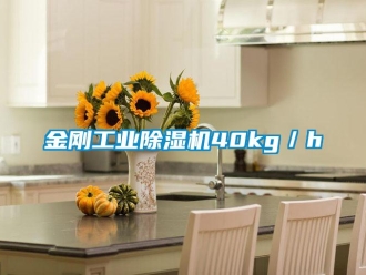 行業(yè)新聞金剛工業(yè)除濕機(jī)40kg／h