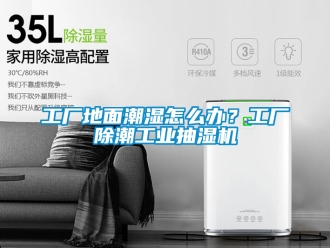 企業(yè)新聞工廠地面潮濕怎么辦？工廠除潮工業(yè)抽濕機