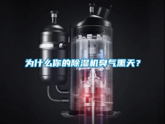知識百科為什么你的除濕機(jī)臭氣熏天？
