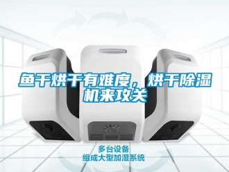 行業(yè)新聞魚干烘干有難度，烘干除濕機來攻關(guān)