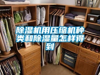 常見問題除濕機用壓縮機種類和除濕量怎樣得到