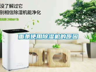 行業(yè)新聞面條使用除濕機(jī)的原因