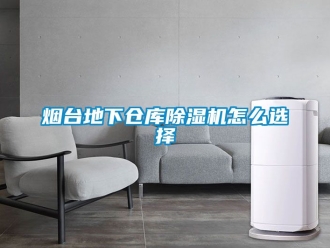 企業(yè)新聞煙臺(tái)地下倉庫除濕機(jī)怎么選擇