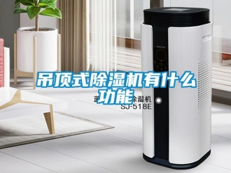 行業(yè)新聞吊頂式除濕機有什么功能