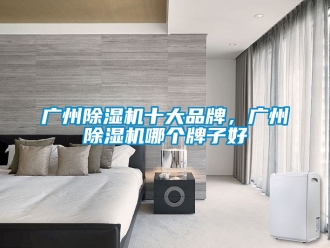 企業(yè)新聞廣州除濕機十大品牌，廣州除濕機哪個牌子好
