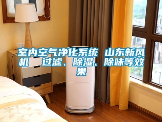 常見(jiàn)問(wèn)題室內(nèi)空氣凈化系統(tǒng) 山東新風(fēng)機(jī)  過(guò)濾、除濕、除味等效果