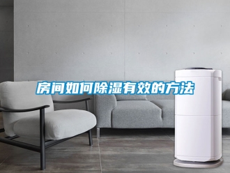 企業(yè)新聞房間如何除濕有效的方法
