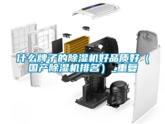 行業(yè)新聞什么牌子的除濕機(jī)好品質(zhì)好（國產(chǎn)除濕機(jī)排名）_重復(fù)