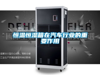 知識百科恒溫恒濕箱在汽車行業(yè)的重要作用