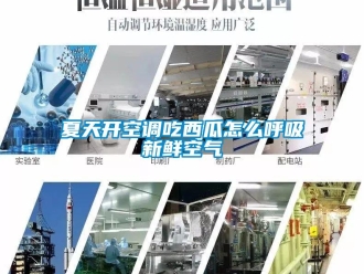 常見問題夏天開空調(diào)吃西瓜怎么呼吸新鮮空氣