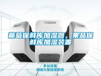 行業(yè)新聞葡萄保鮮庫(kù)加濕器，果品保鮮庫(kù)加濕裝置