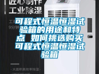 知識(shí)百科可程式恒溫恒濕試驗(yàn)箱的用途和特點(diǎn) 如何挑選購買可程式恒溫恒濕試驗(yàn)箱