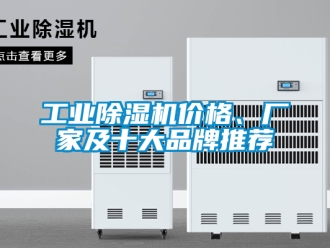 企業(yè)新聞工業(yè)除濕機(jī)價格、廠家及十大品牌推薦