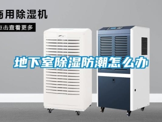 常見問題地下室除濕防潮怎么辦